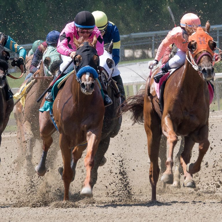 assiniboia-downs-768x768_en_1